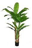 Vintage Home VHX117 Fake Plant, One Size, Green | Amazon (US)