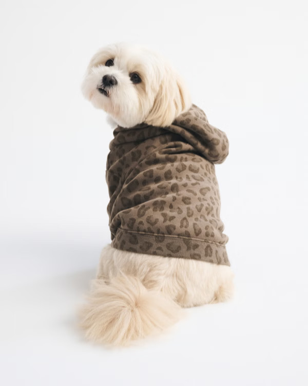 A&F Essential Pet Pupover | Abercrombie & Fitch (US)