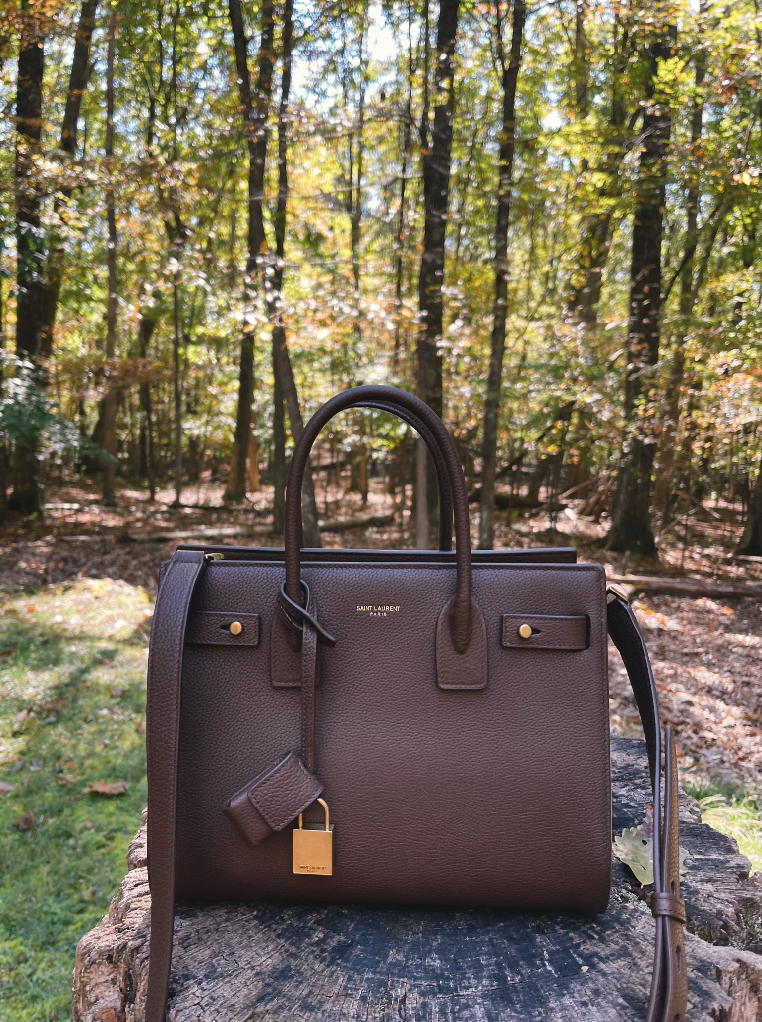 Saint Laurent Sac De Jour Dark Forest Grainy Leather