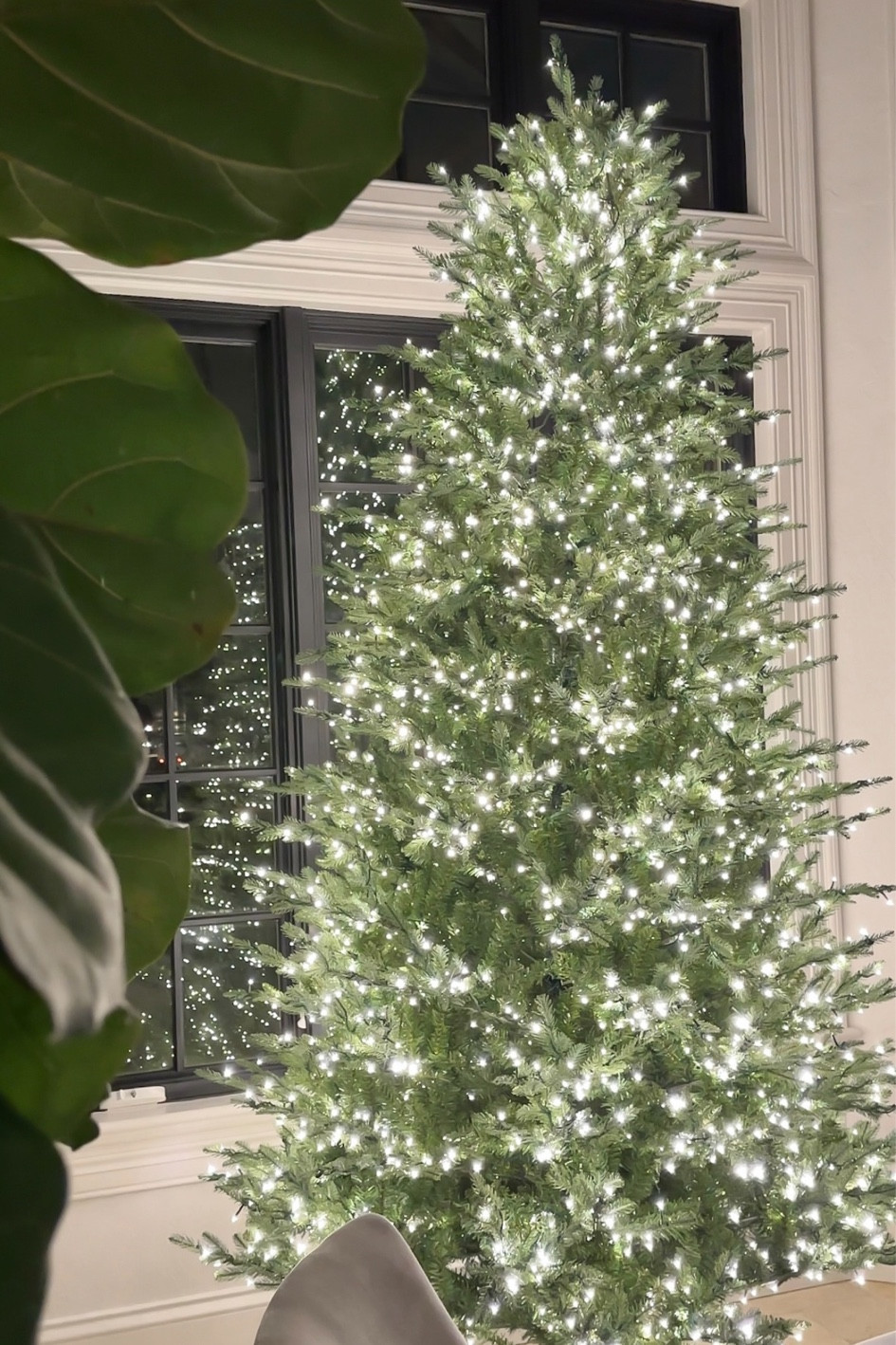 THE Viral Christmas tree has restocked in 7.5ft, 9ft and 12ft options. No fluffing requires and needs little to no decorum. It’s absolutely worth the hype.

Available for store pick up or for home delivery!! 