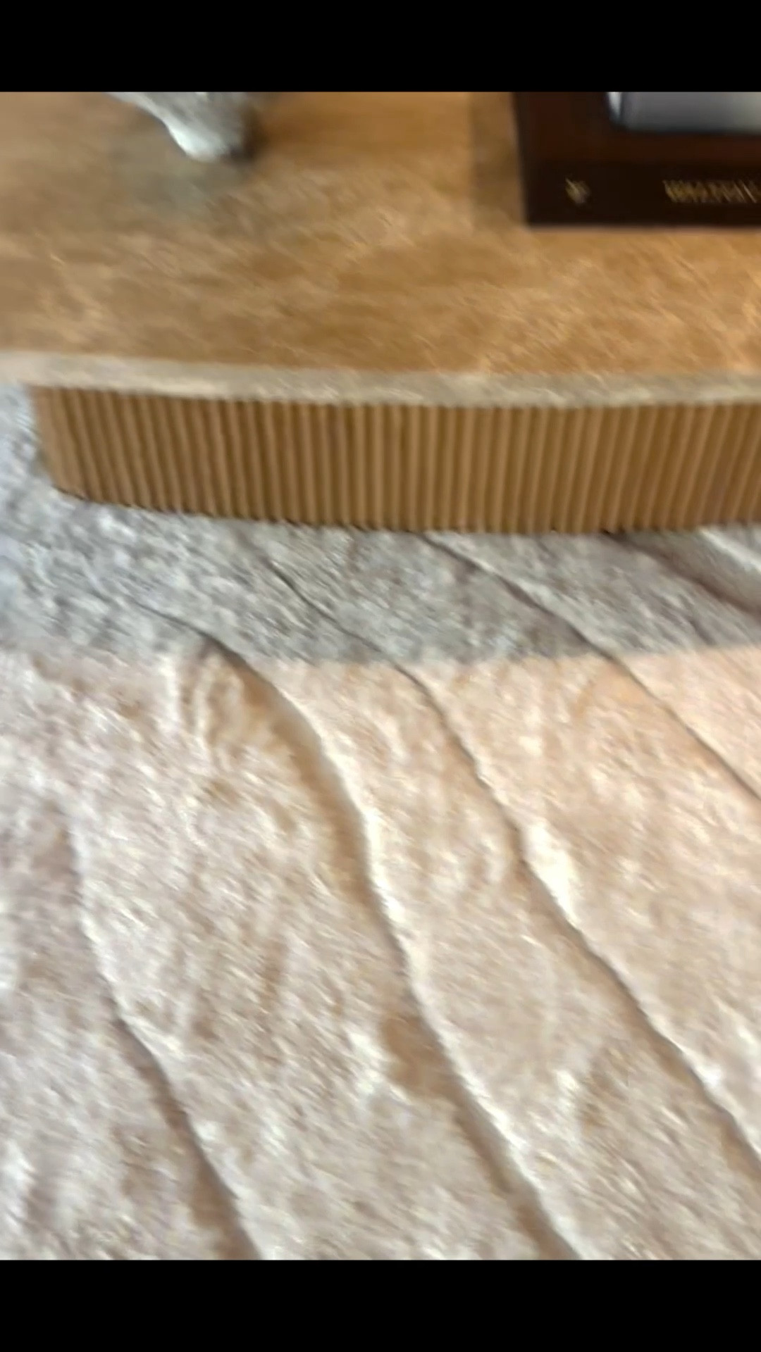 Chic and cozy living room vibes—cloudy white on the sectional and rug, grounded beautifully by a warm wood coffee table.
#livingroominspo #cozyhome #neutraldecor #interiorstyle

#LTKHoliday #LTKSeasonal #LTKHome