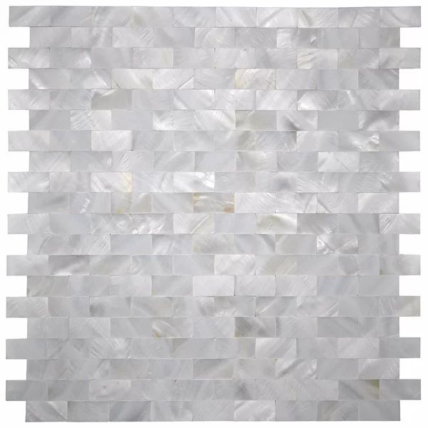 Mother Of Pearl 0.6" x 1.2" Seashell Mosaic Wall Tile | Wayfair North America