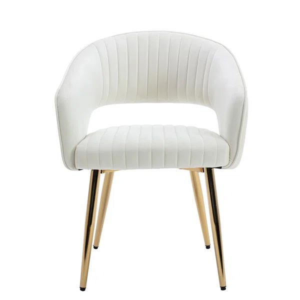 Velvet Arm Chair (Set of 2) | Wayfair North America