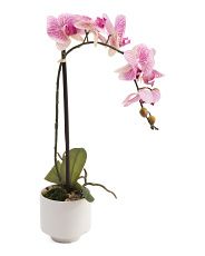 22in Real Touch Phalaenopsis Orchid In Ceramic Pot | Marshalls