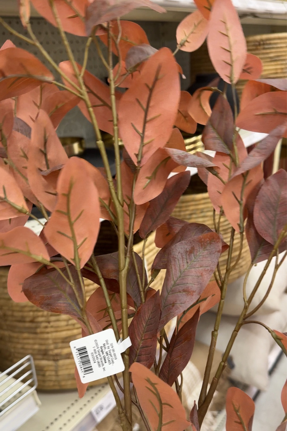 Fall stems $9.99

Organic modern fall target 

#LTKFindsUnder50 #LTKSeasonal #LTKHome