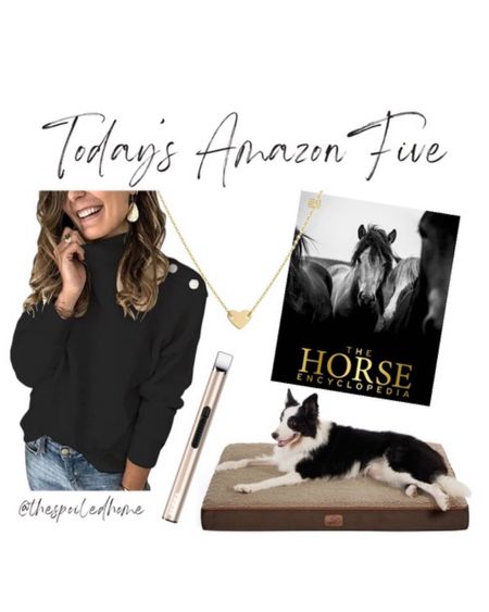 Today’s Amazon 5 limited time deals 
Dog bed with removable washable cover
Electronic candle lighter 
Simple delicate heart necklace
The Horse Encyclopedia Book (such a pretty coffee table book)
Long sleeve turtleneck less than $30

#LTKfindsunder50 #LTKsalealert