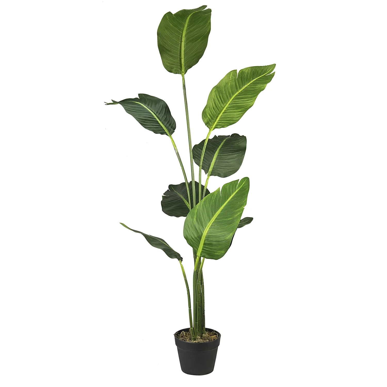 60" Artificial Banana Leaf Tree in Pot | Wayfair Professional