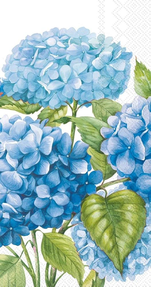 Boston International Hand Towels, Decorative Paper Guest Towels for Bathroom or Paper Napkins Din... | Amazon (US)