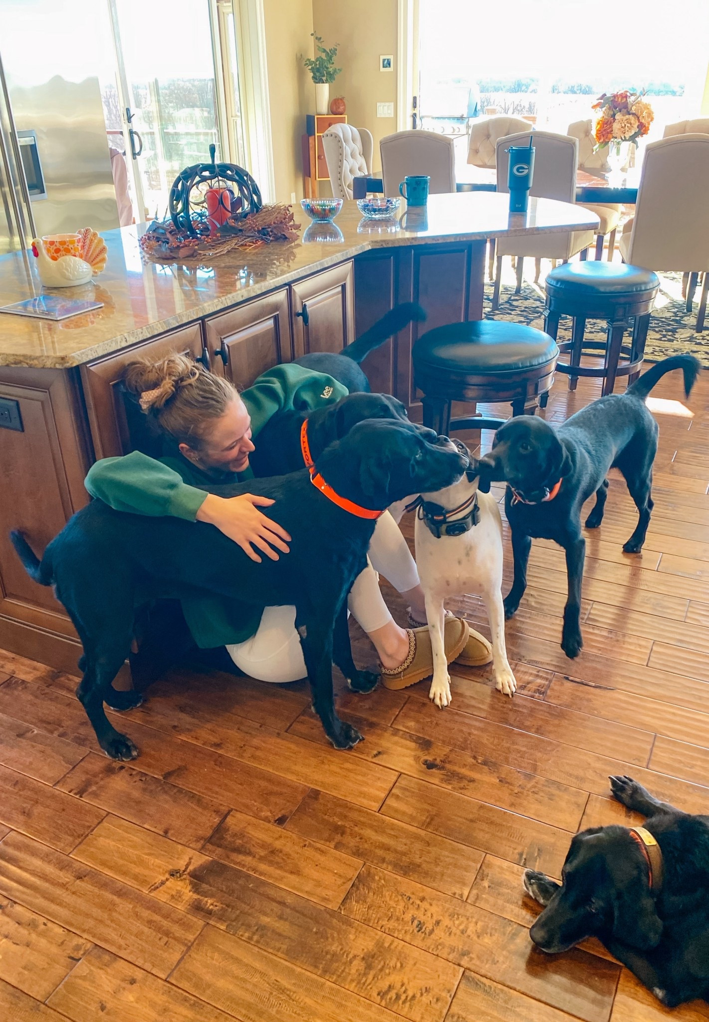 Few things make me as happy as being with all these puppies!!! While it’s super crazy - having all their loves & kisses is the best!!! 