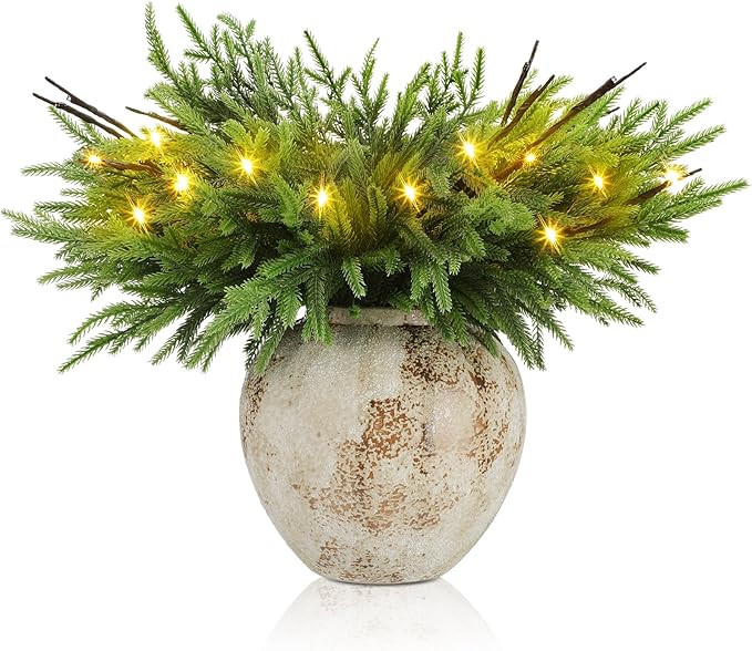 30 Pcs Christmas Norfolk Pine Branches with Lights 18" 24 Artificial Norfolk Stems Branches 6 Lig... | Amazon (US)