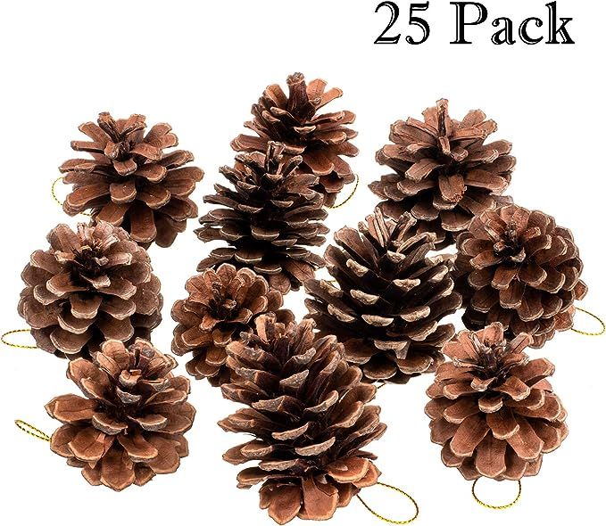 Whaline Natural Pine Cones, Rustic Pinecones Bulk Ornaments with String for Crafting for Home Acc... | Amazon (US)