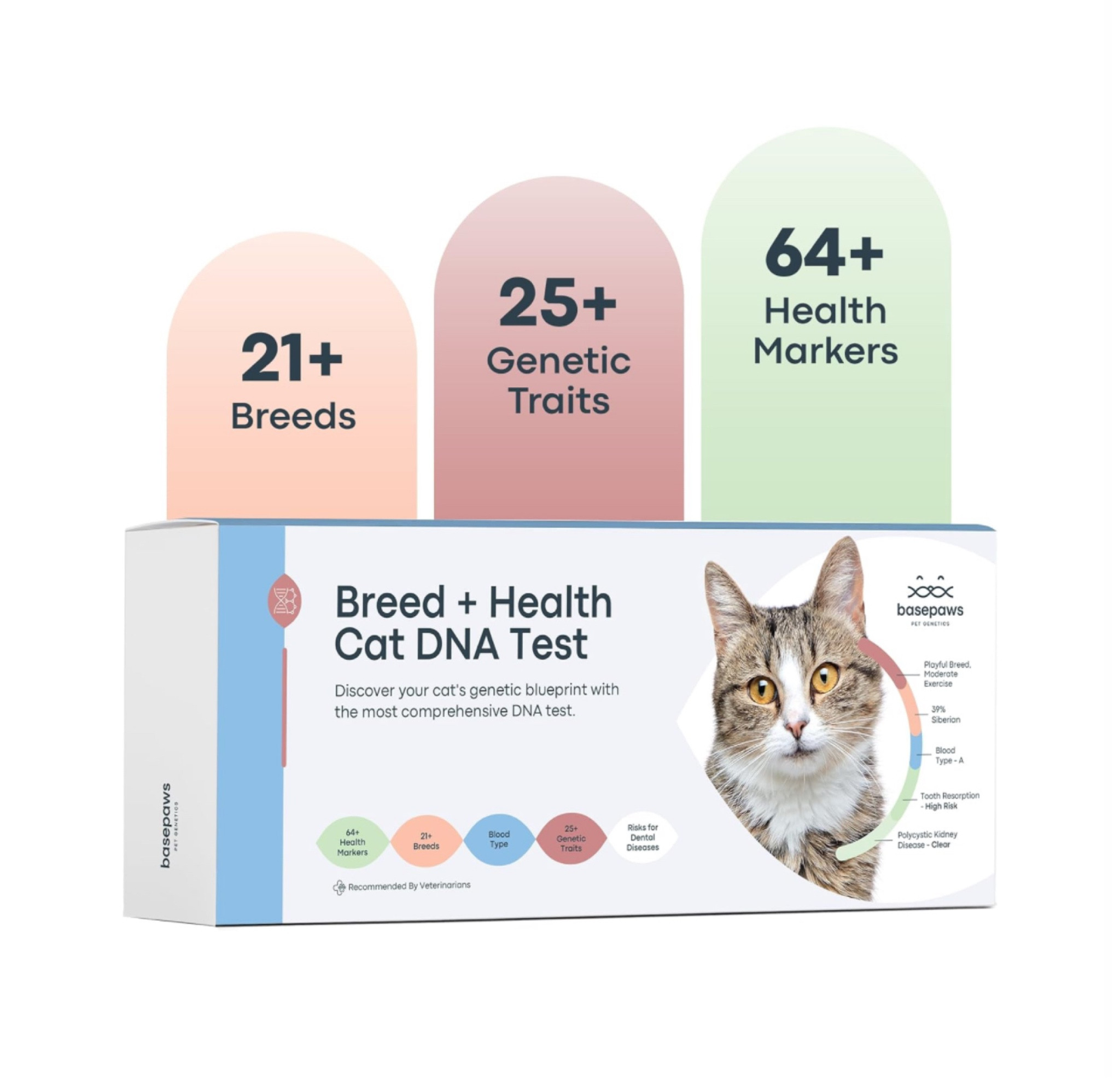 Cat dna test kit

#LTKxPrimeDay #LTKSaleAlert #LTKGiftGuide