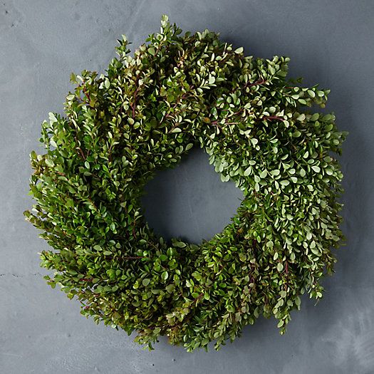 Fresh Boxwood Wreath | Terrain