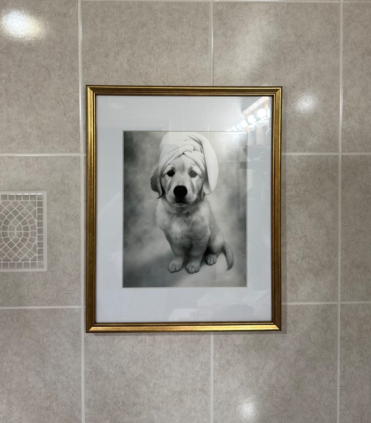 Our sweet little boy when he was a puppy

#LTKPets #LTKHome #LTKFindsUnder50