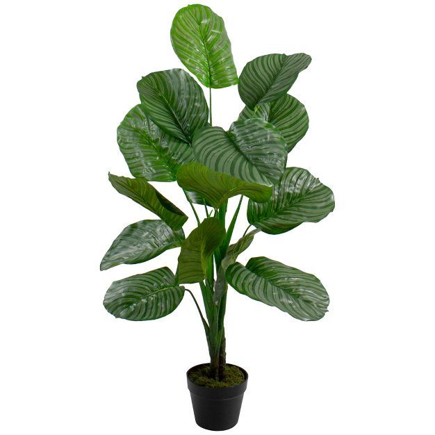 Northlight 4' Potted Two Tone Green Calathea Artificial Floor Plant | Target