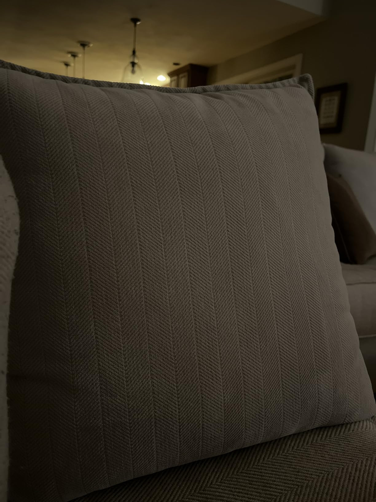 ZWJD Brown Pillow Covers 20x20 Set of 2 Chenille Throw Pillow Covers with Elegant Design Soft and... | Amazon (US)