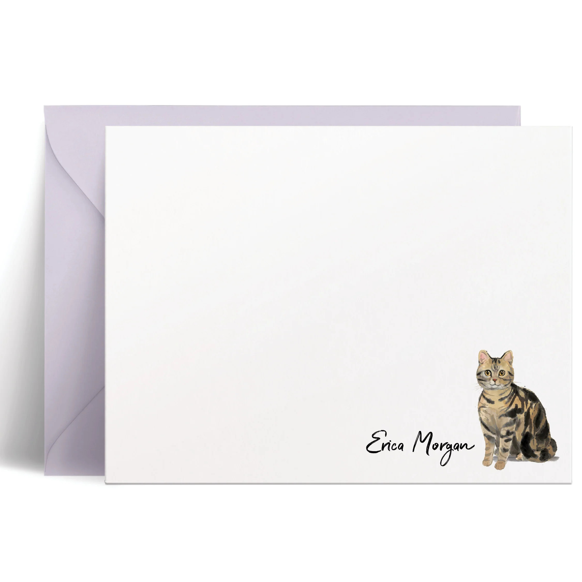 Cats: Flat Card Set | Curio Press