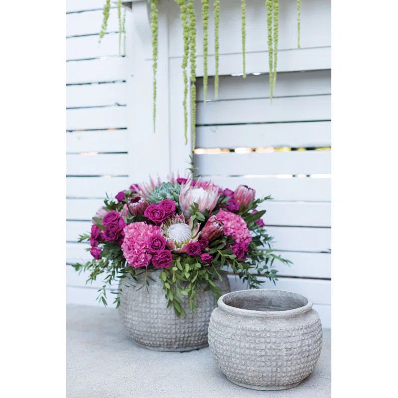 Enderby Handmade Ceramic Pot Planter | Wayfair North America