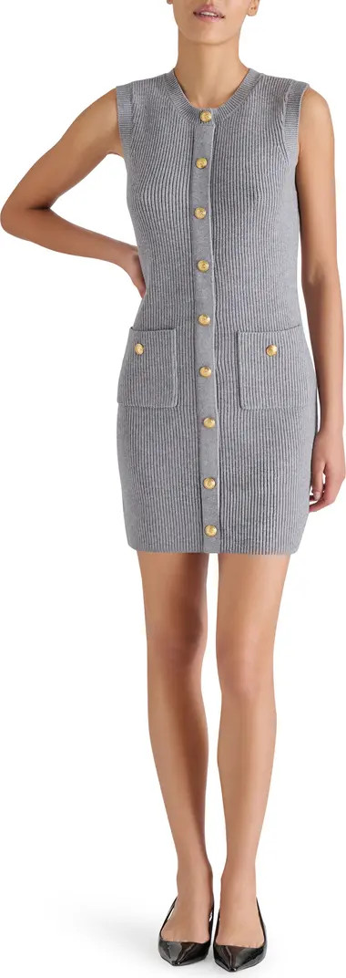 Mitsy Sleeveless Rib Sweater Dress | Nordstrom