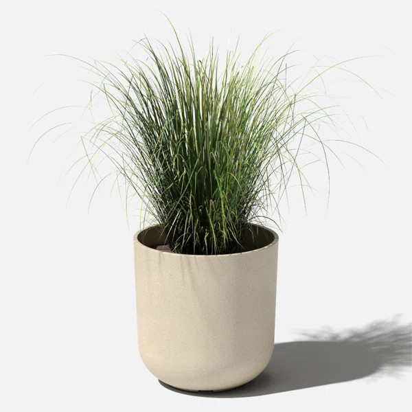 Pure Series Planter | Wayfair North America