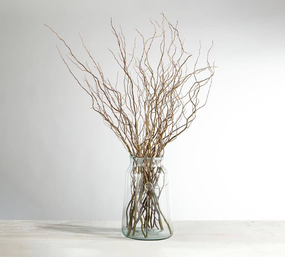 Live Curly Willow Branches | Pottery Barn (US)