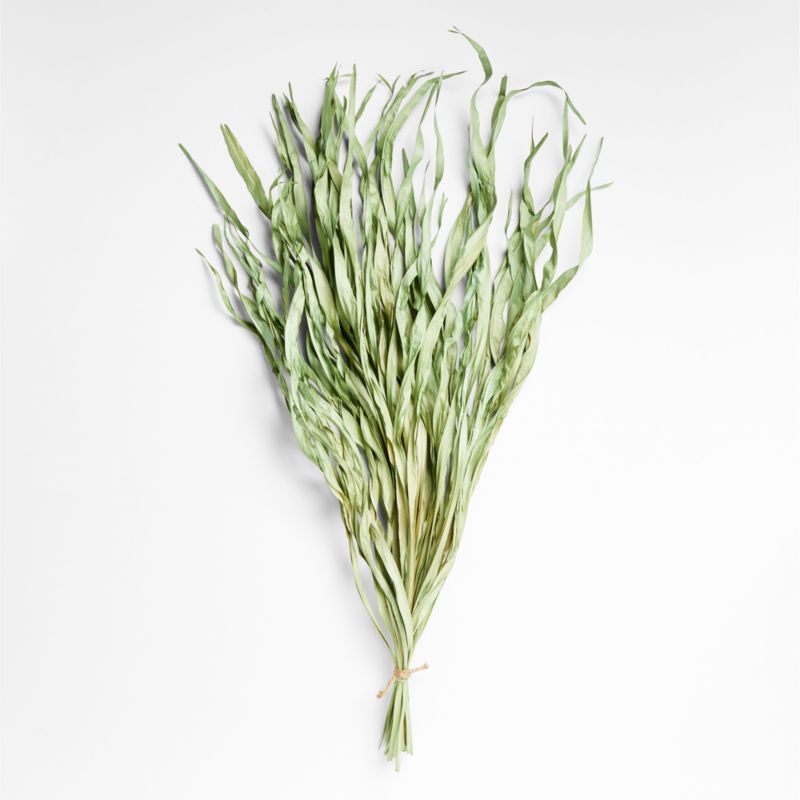 Teal-Green Anahao Dried Decorative Grass | Crate & Barrel | Crate & Barrel