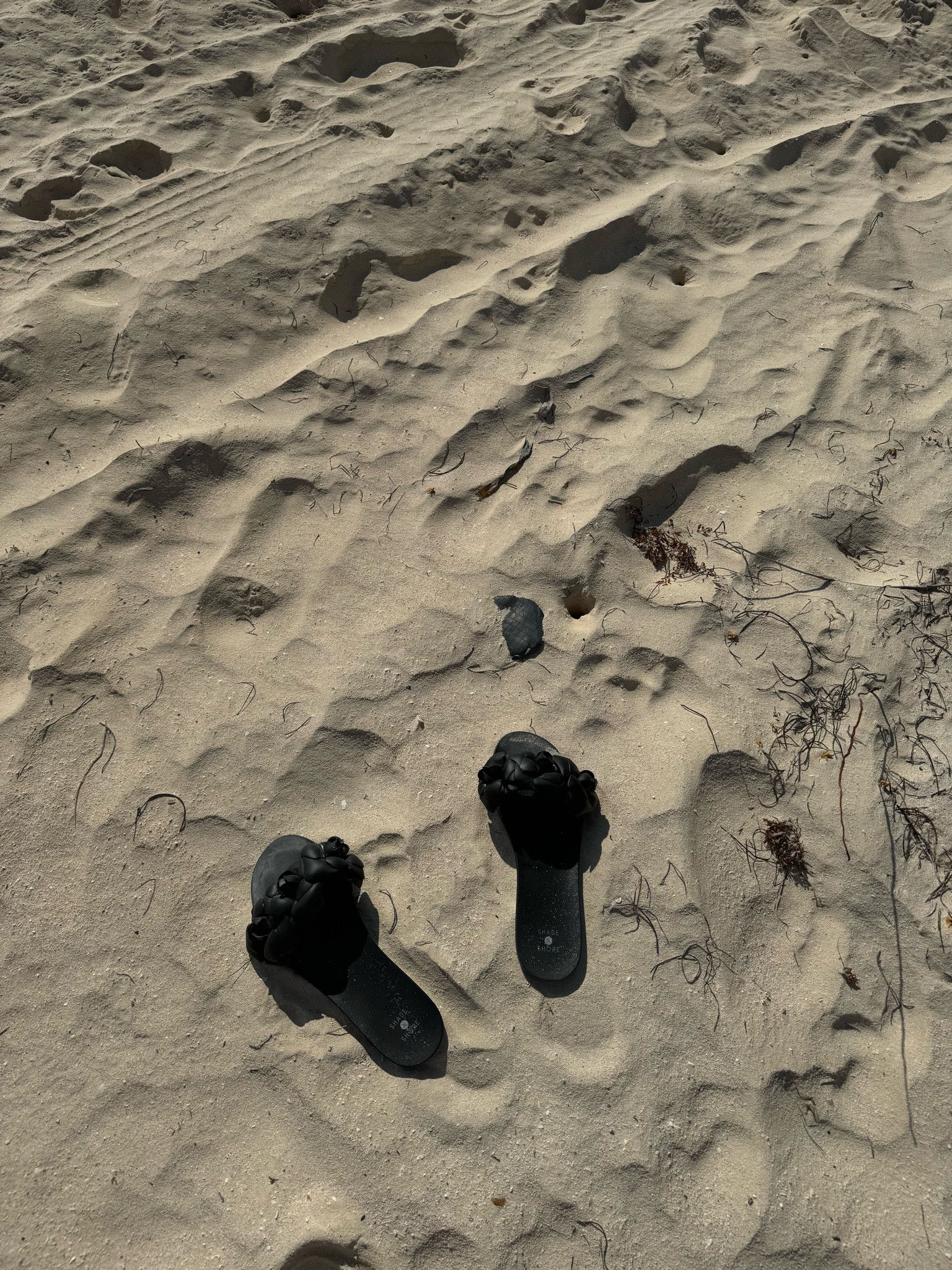 Rose detailing on these black pool sandals are incredible 

#LTKtravel #LTKfindsunder50 #LTKSeasonal