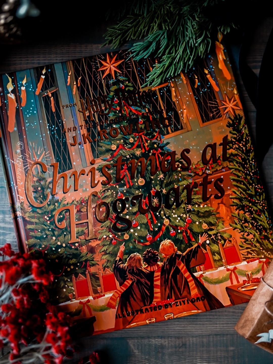 Christmas at Hogwarts 🎄

This book by @scholastic is perfect for the Christmas season! Harry’s first Christmas at Hogwarts is a special one, full of laughter and friends and holiday cheer! 

Will you be reading this one this Christmas? 

#harrypotter #christmasathogwarts #wizardingworld 
@jkrowling_stories 
Harry Potter 
Hogwarts 
Wizarding World 
Gryffindor