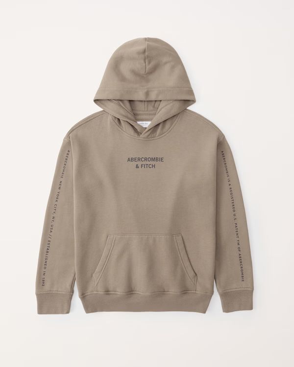 print logo popover hoodie | Abercrombie & Fitch (US)