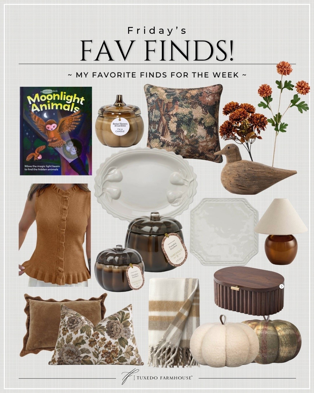 I gathered all my fav finds for the week. Fall decor, fall pillows and throws, a few sale items, a really cute top and even a fun book for my grandson all made the list the week!

#LTKSeasonal #LTKHome #LTKSaleAlert