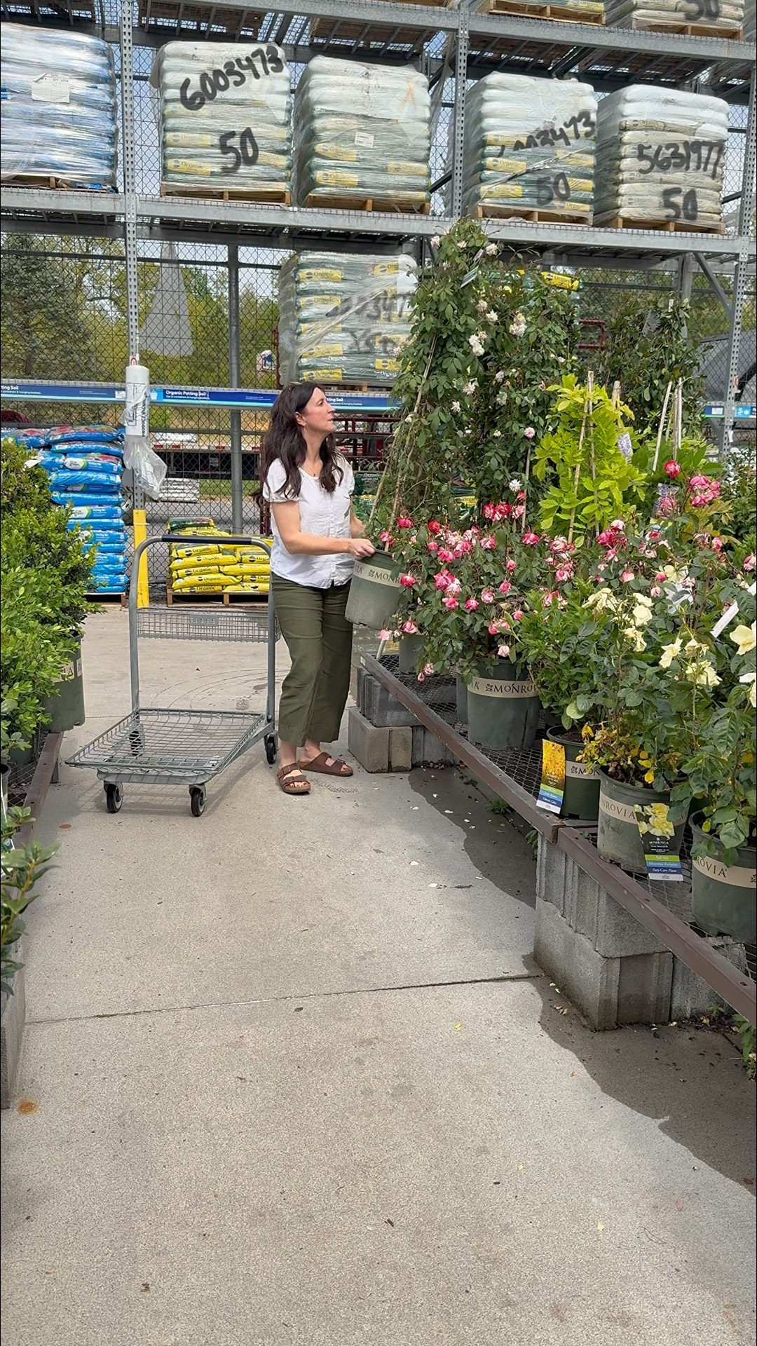 April home and garden finds 

#LTKSeasonal #LTKFindsUnder100 #LTKHome