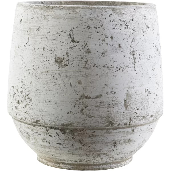 Camryn Cement Pot Planter | Wayfair North America