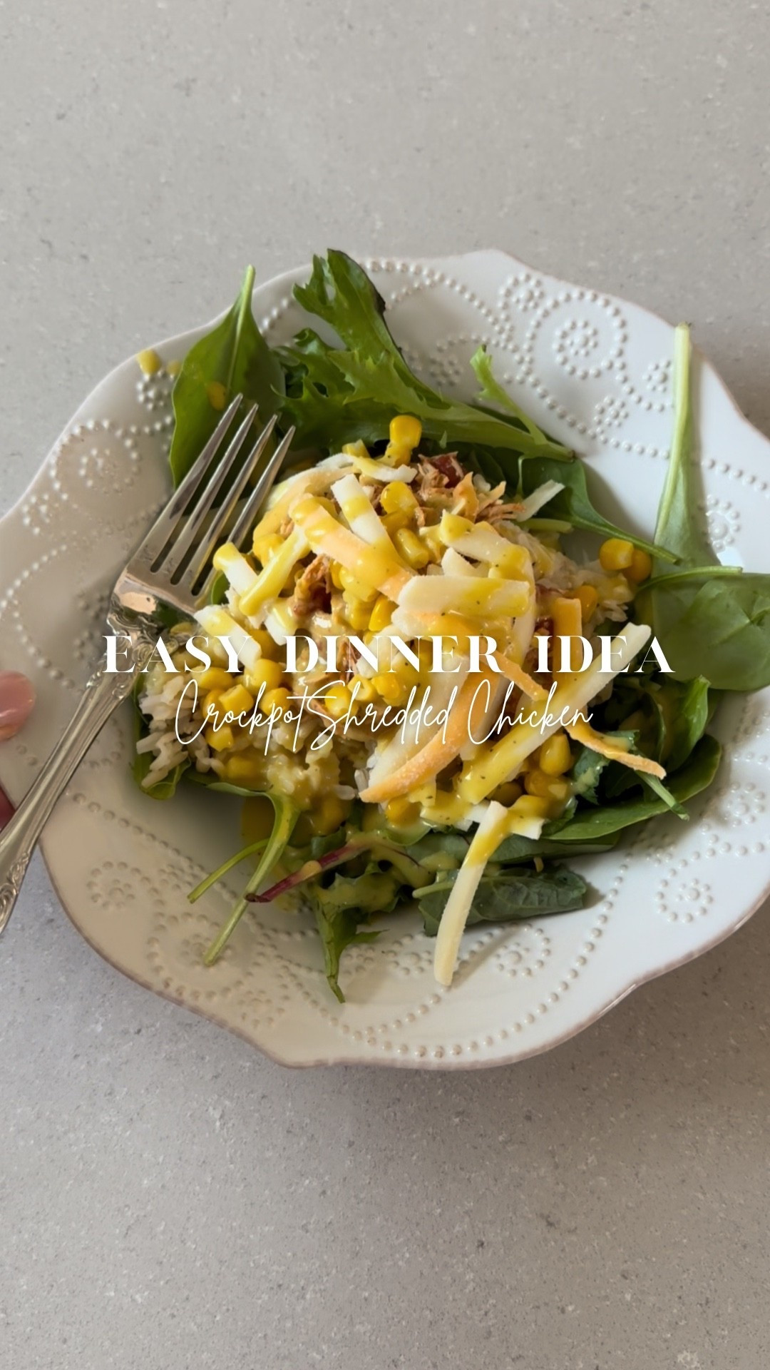 The easiest & tastiest 4 ingredient crockpot shredded chicken 👌🏻 I made mine into a bowl, but I love it in a soft taco as well 🌮😋 
Ingredients 
• chicken breast
• taco seasoning 
• rotel
• lime juice 

Put all the ingredients into a crockpot on low for 7 hours and dinner is ready! So easy and a recipe the whole family will love ❤️ 

Dinner recipe ideas, Target, shredded chicken tacos, easy dinner ideas, family dinner recipes, crockpot recipes, taco bowl recipe

#LTKdayinmylife #LTKfoodie #LTKmomlife