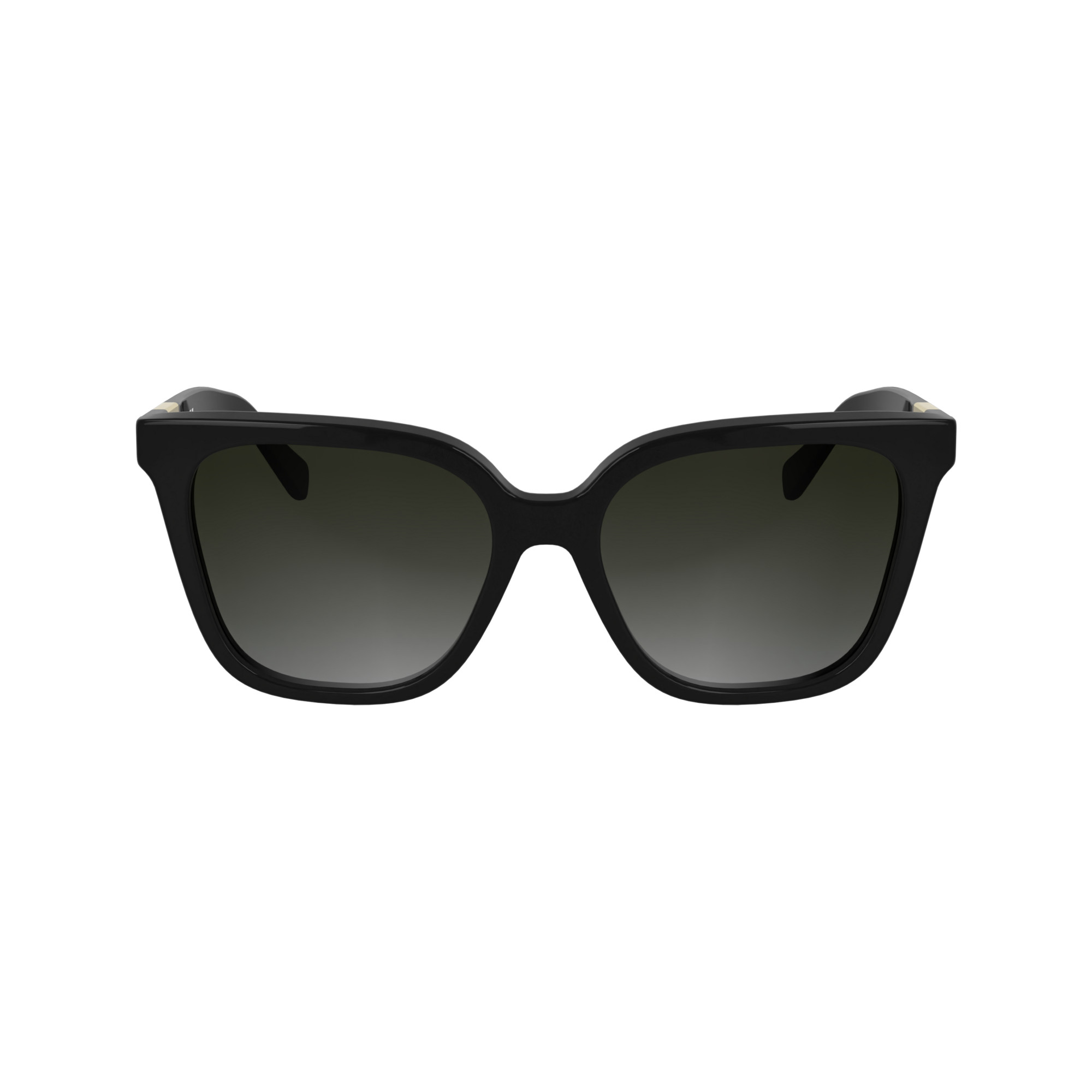 Sunglasses Black - Acetate | Longchamp US | Longchamp