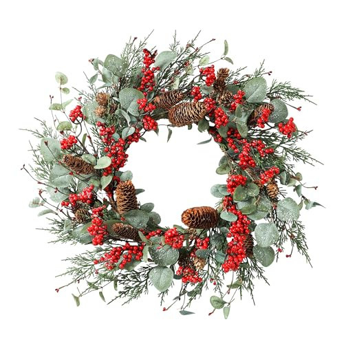 YNYLCHMX 22 Inch Winter Wreath for Front Door, Winter Wreath with Eucalyptus Leaves Red Berry Pine Cones Pine Needle, Artificial Door Wreaths for Indoor Farmhouse Holiday Decoration | Amazon (US)