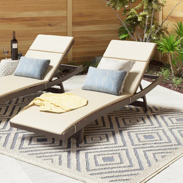 Cara IndoorOutdoor Chaise Lounge Cushion (Set of 2) | Wayfair North America