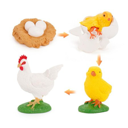 Animals Growth Cycle Life Cycle Model Set Ant Mosquito Sea Turtle Simulation Model Action Figures Te | Walmart (US)