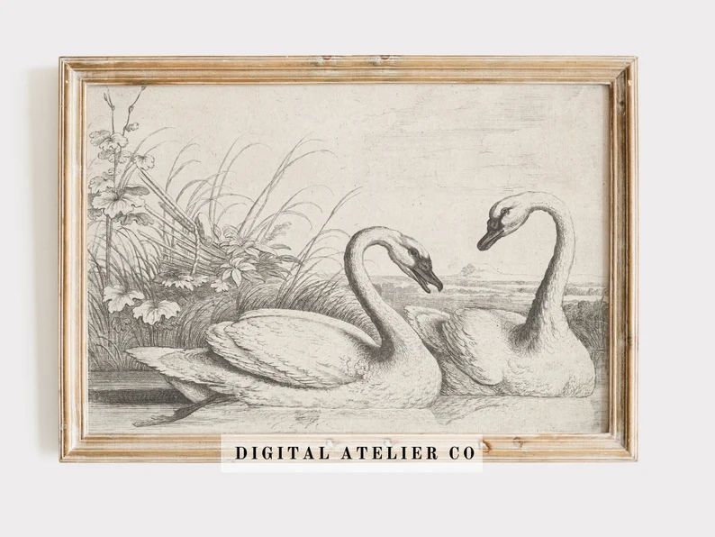 Vintage White Swan Print on Lake Pencil Sketch Vintage Nursery Wall decor Digital Instant Printab... | Etsy (US)