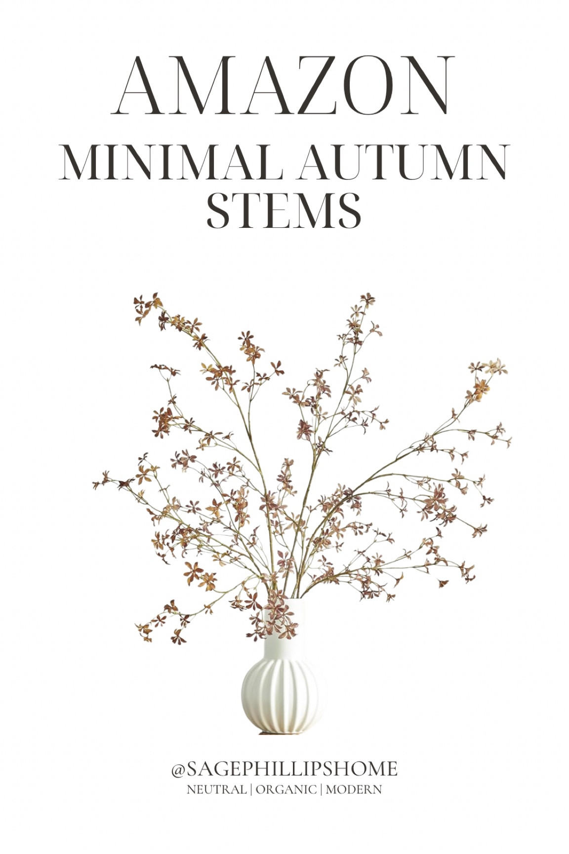 These airy, minimal autumn stems are giving me all the cozy, earthy vibes! 🍂 Perfect for bringing a soft, seasonal touch to any space without feeling overdone. I love how simple and organic they look.

#LTKautumn #LTKstyletip #LTKcanada