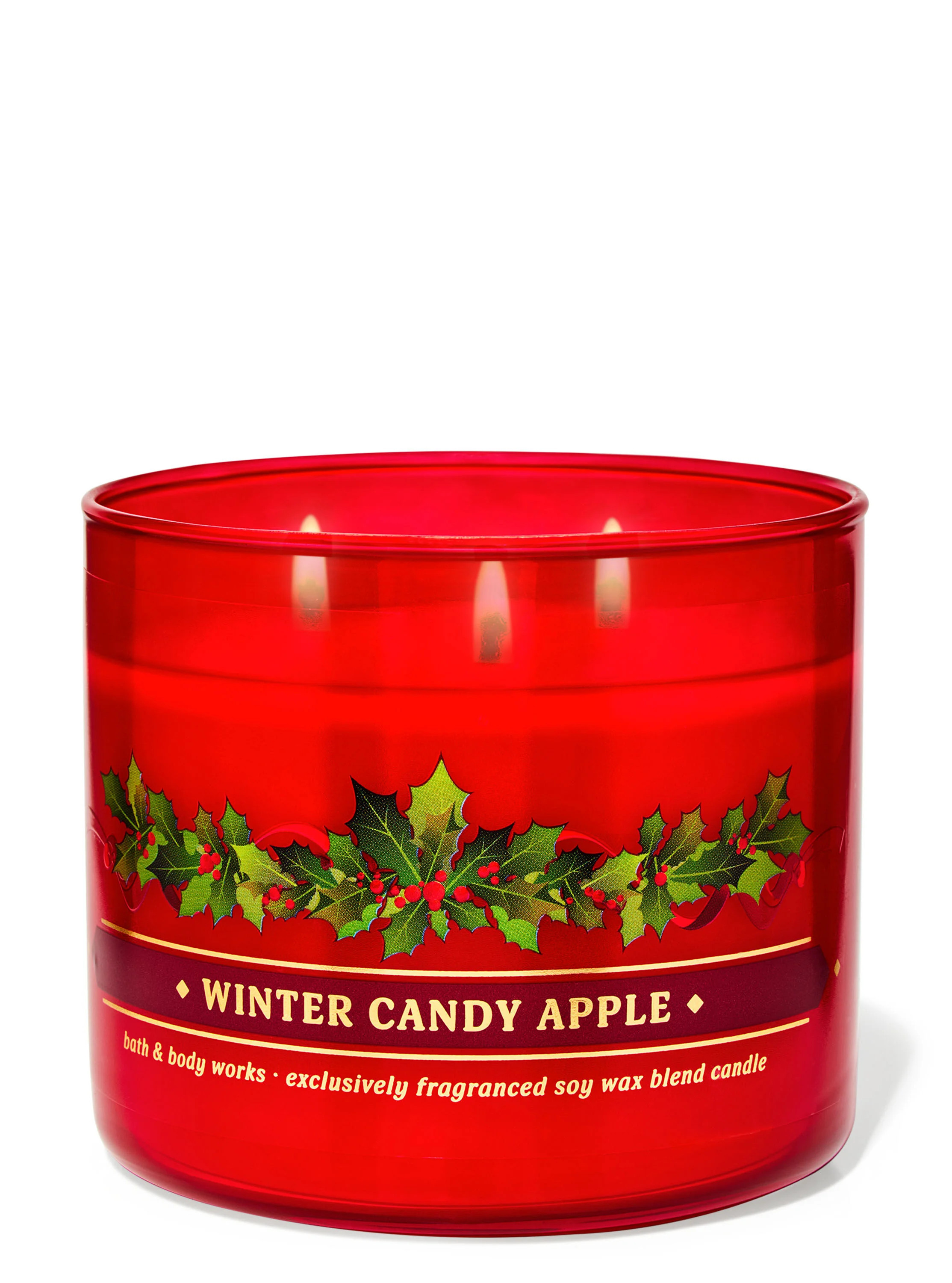 Winter Candy Apple


3-Wick Candle | Bath & Body Works