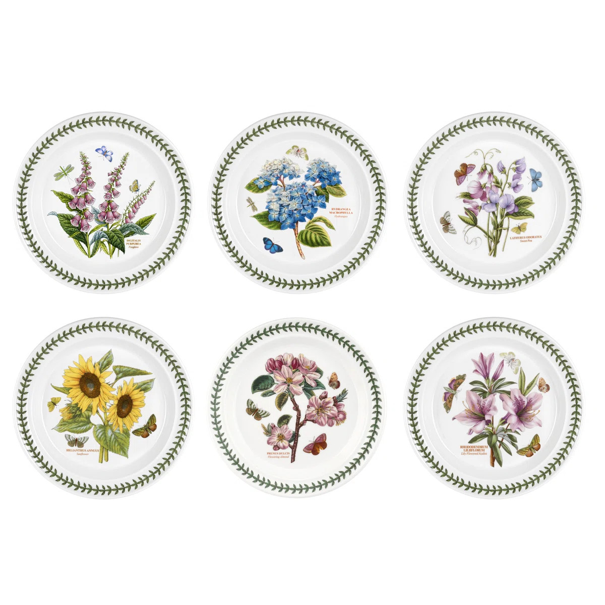 Portmeirion Botanic Garden Plate Dinner 10.5" (Set of 6) | Wayfair North America