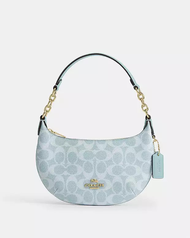 $99 | Coach (US)