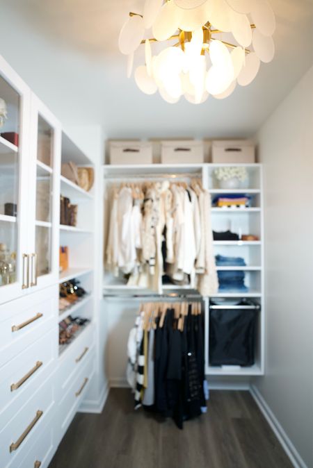 Closet organization and must-have 

#LTKhome #LTKover40 #LTKsalealert