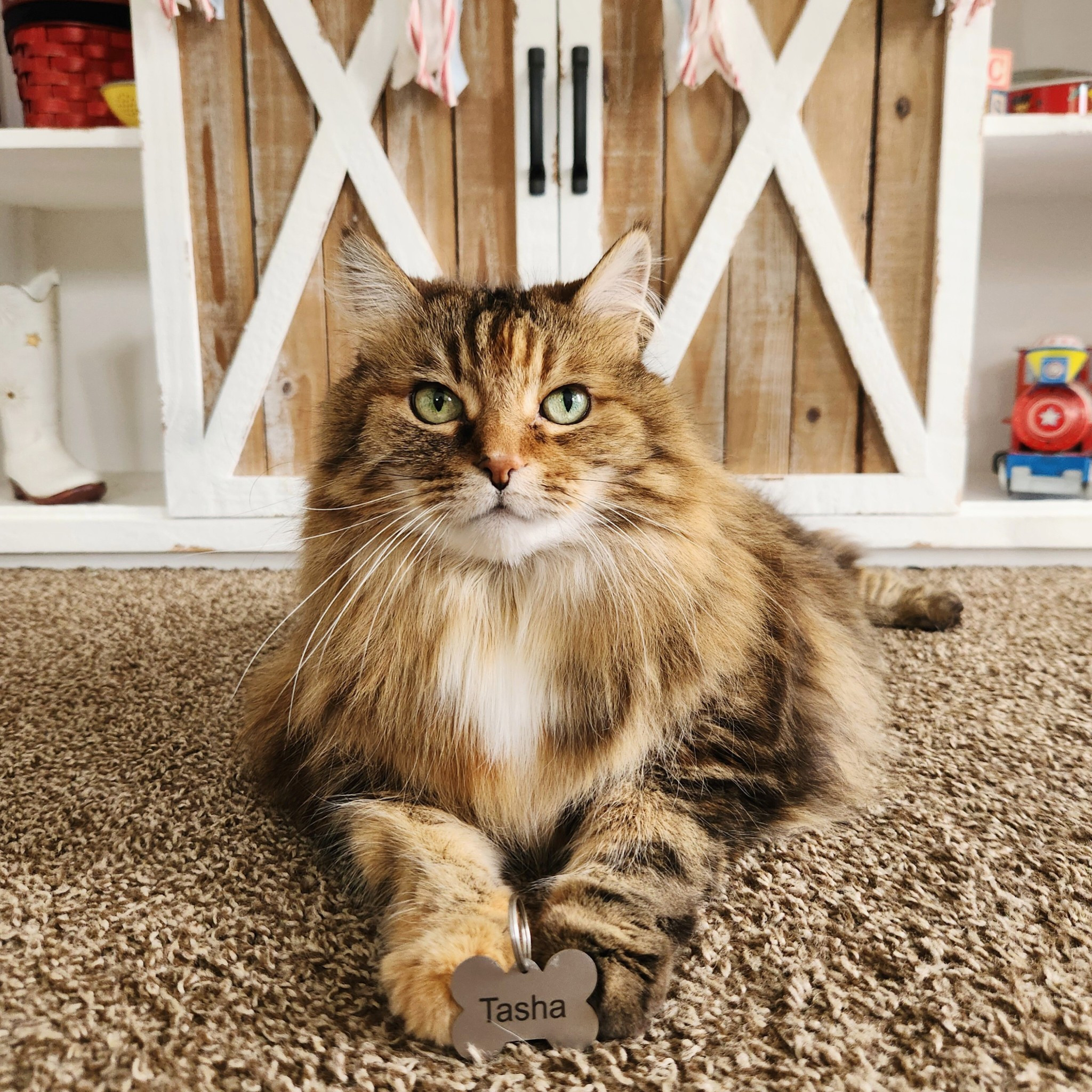 #ad This One-Of-A-Kind Custom Pet ID Tag Is The Accessory Every Pet Needs😺🐶Customize It With Your Pets Name, Phone Number Or Any Design You Can Imagine📝Never Lose Your Fur Baby Ever Again🚫You Will Recieve Updates When Someone Scans Your QR Code📱You Decide What Information To Share🤔Set Up Your Online Profile To Allow Finders To Contact You👩🏼‍💻This Life-Saving Tag Keeps Your Mind At Ease😌#Sponsored #TechMark #PetIDTag #PetSafety

