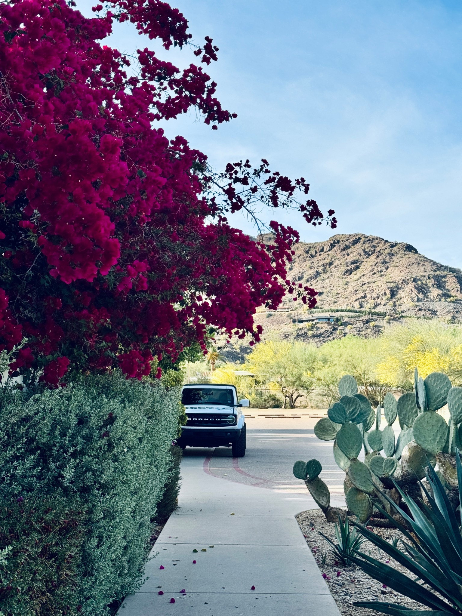 New bargains I found at Nordstrom 

Vacation outfits 
Spring outfits 


#LTKSaleAlert #LTKTravel #LTKWorkwear