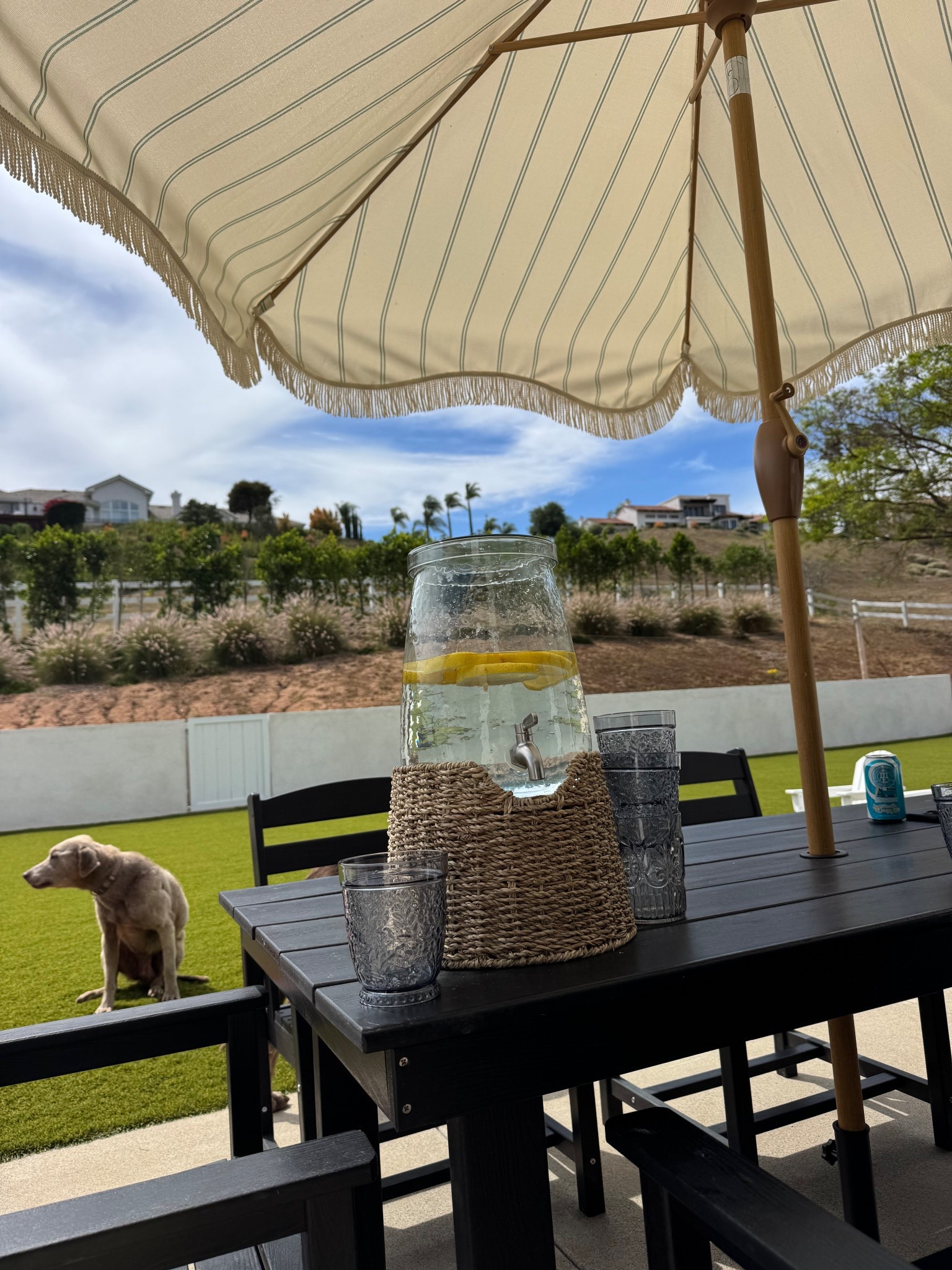 I just love this cute wicker drink dispenser so much 😍

#LTKSwim #LTKSummerEdit #LTKFindsUnder50