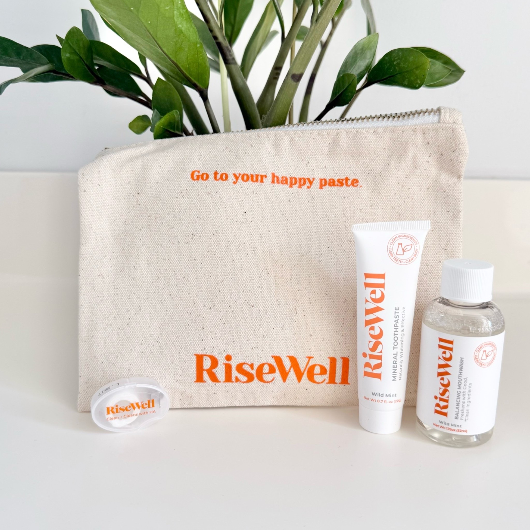 @risewellco 
Travel Dental Kit
$23.98

#LTKBeauty