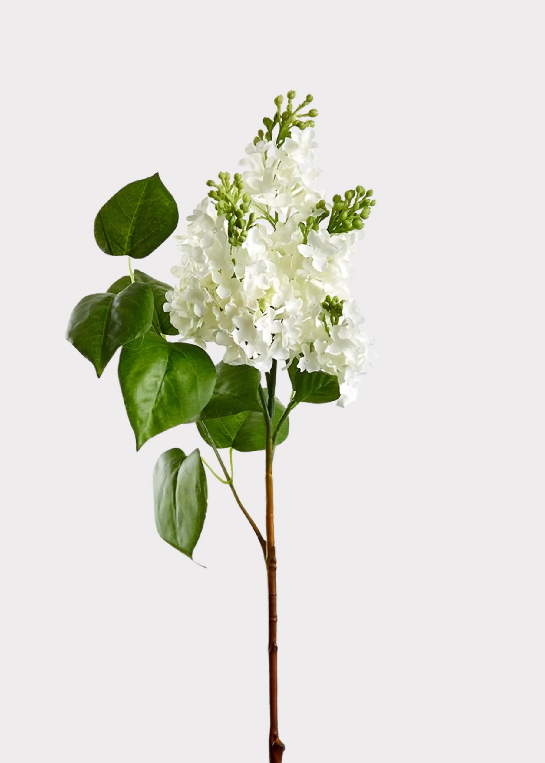 Faux Lilac Branch in White | Artificial Blooming Flowers at Afloral | Afloral