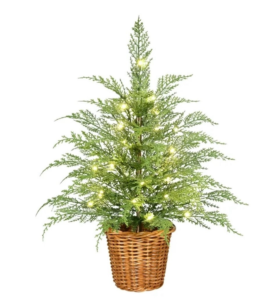 Okay but how precious is this little cypress tree?! 😍🌲 The soft, wispy branches + warm twinkle lights feel so natural and woodland — like something you’d see in a little mountain cabin window at Christmas. The woven basket base makes it look instantly styled (no need to hide a stand or add anything), and it’s the perfect size for countertops, entry tables, kitchen corners, kids’ rooms, or tucked into a bookcase for a subtle cozy glow ✨

It’s pre-lit with warm white twinkle lights (the pretty kind, not the bright-blue LED kind lol) and looks gorgeous alone or with tiny ribbon bows 🎀 You can even group two together for that storybook forest moment. This one always sells out early — low stock warning ⚠️

🌲 24” tall — perfect accent size
✨ 30 warm twinkle lights
🧺 Comes in the cutest woven basket base
🎀 Easy styling — just fluff + plug in

⸻

mini christmas tree • tabletop holiday decor • woven basket tree • cozy christmas kitchen • cottage christmas • natural holiday decor • warm white twinkle lights • woodland christmas aesthetic • classic christmas style • walmart holiday finds • entryway christmas styling • simple cozy holiday touches 🎄✨

#LTKHome #LTKHoliday #LTKGiftGuide