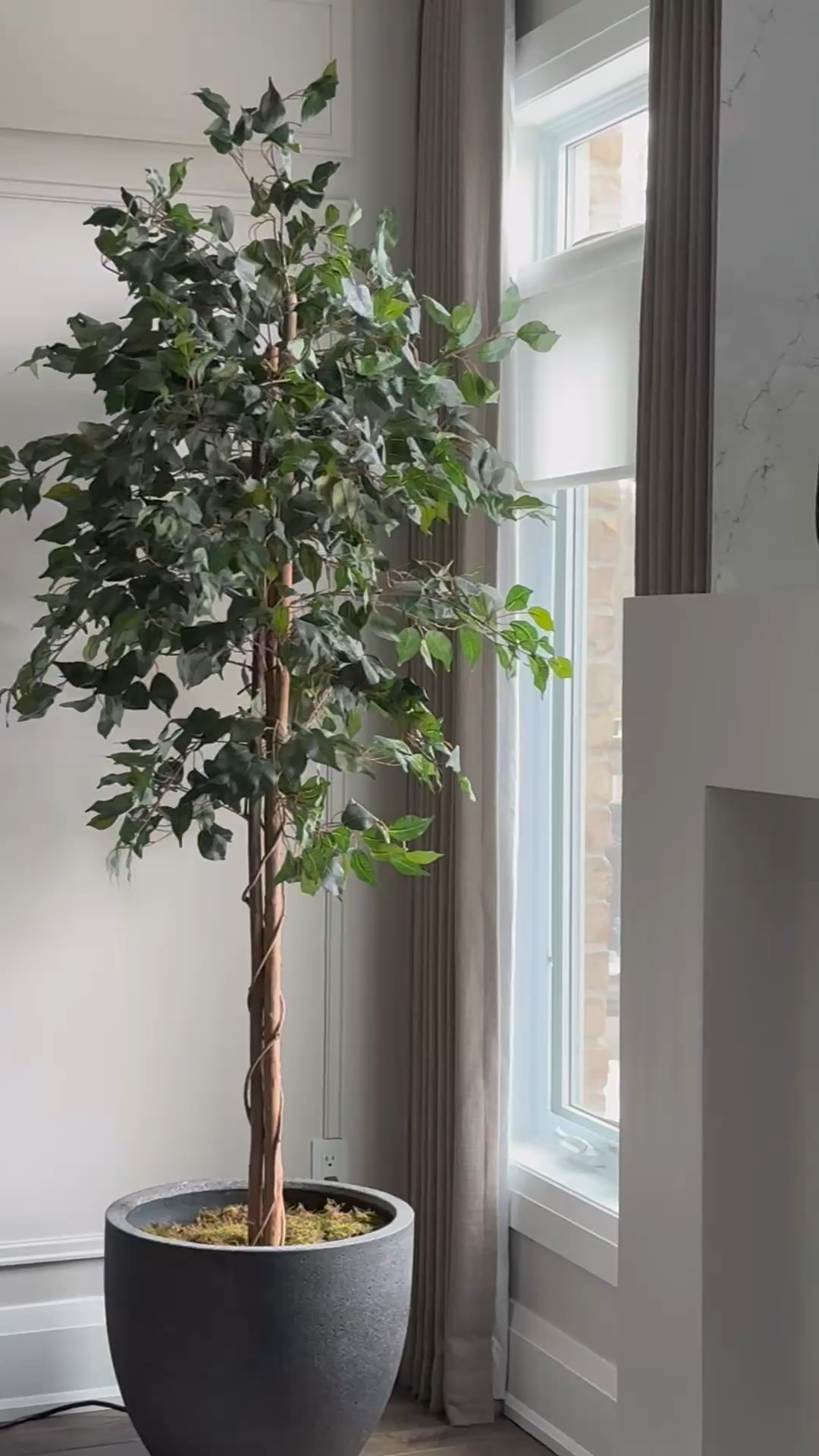 One of my favourite trees that I have in my home. It is nice and full - perfect for filling up a corner. Comes in different heights as well - I got the 7 ft one!

#LTKHome #LTKSaleAlert
